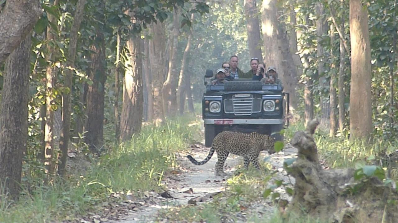 Tiger Tops Karnali Lodge Bardiya Luaran gambar