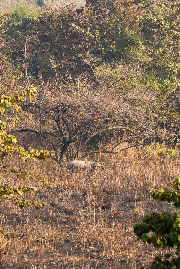 Tiger Tops Karnali Lodge Bardiya Luaran gambar