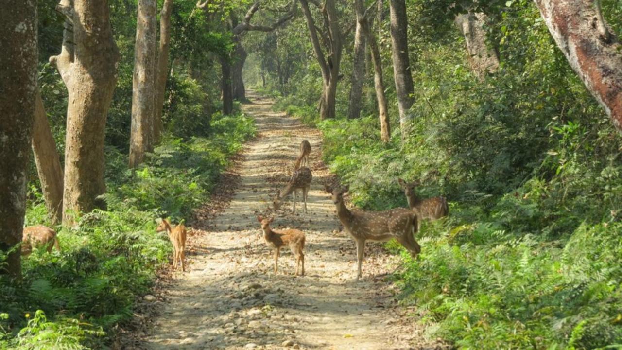 Tiger Tops Karnali Lodge Bardiya Luaran gambar